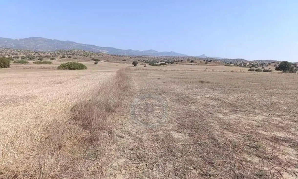 زمین مسکونی ۲۲۲متری سراب یاس