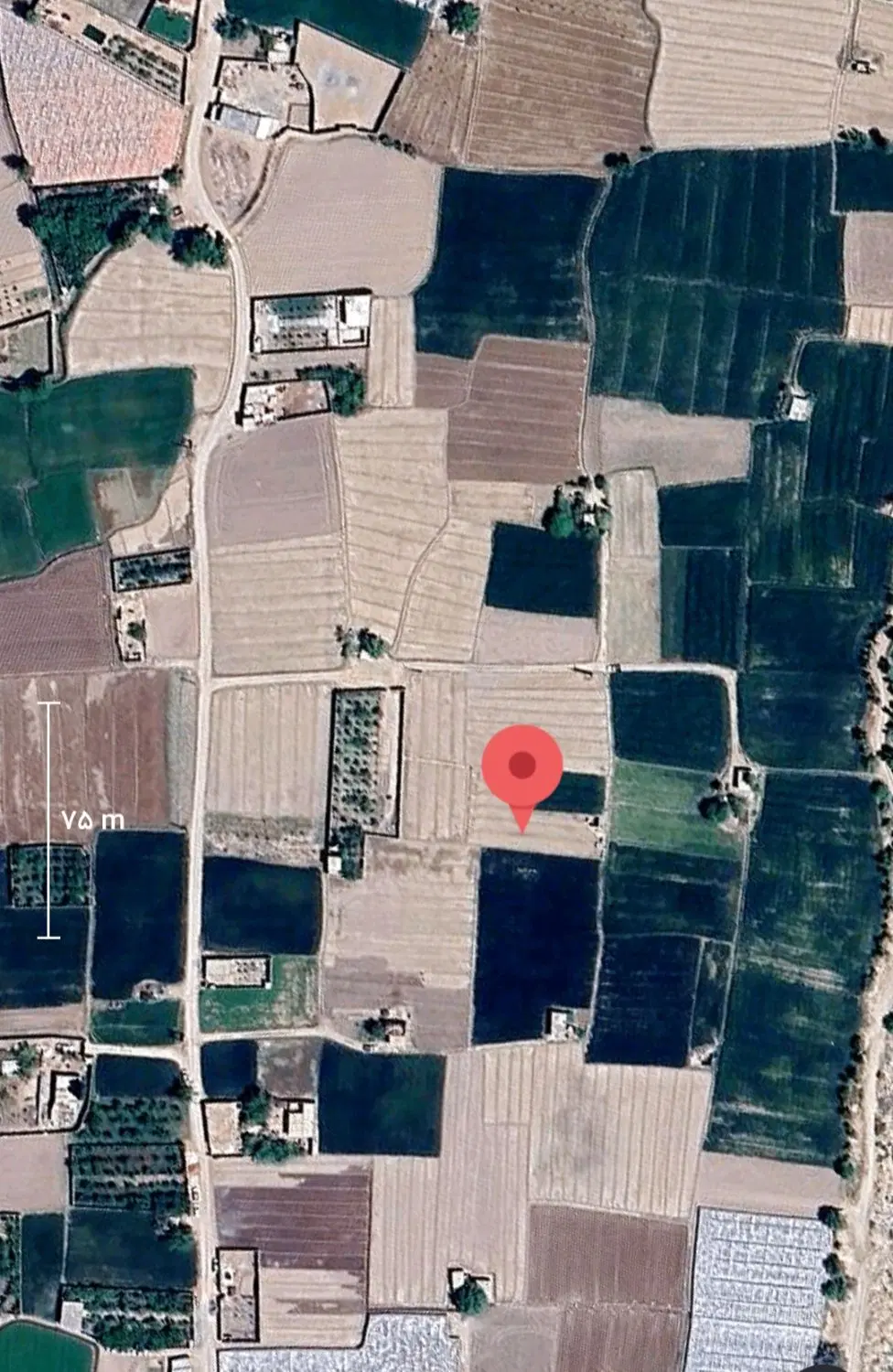 زمین