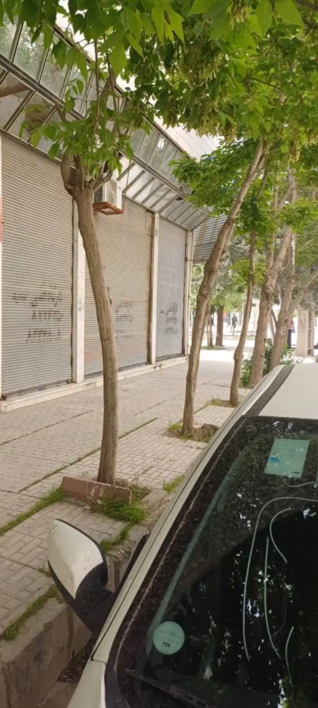 مغازه دوبر چهارراه اول نصر