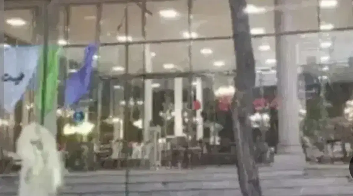 صفاپارک