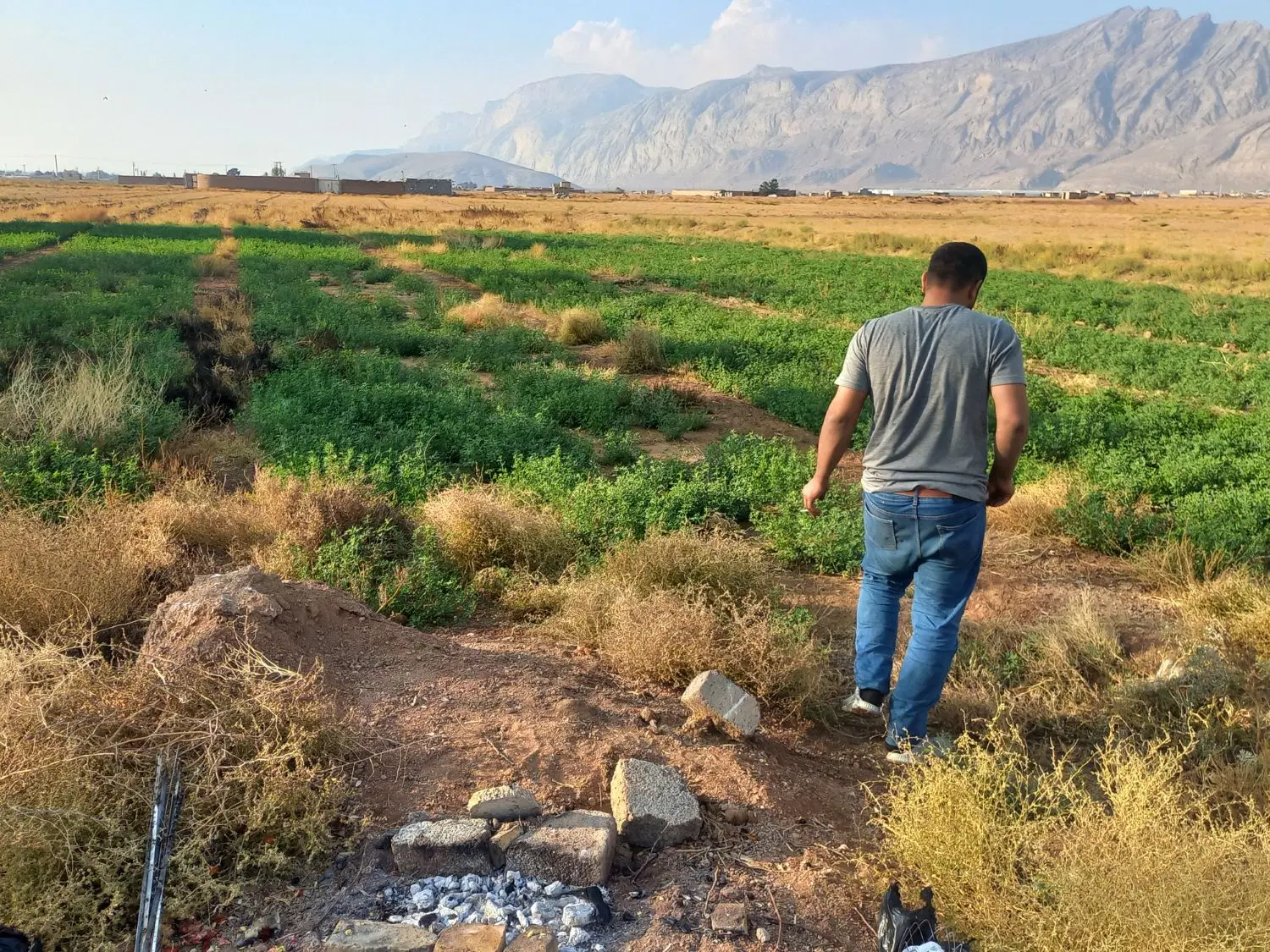زمین مناسب باغ