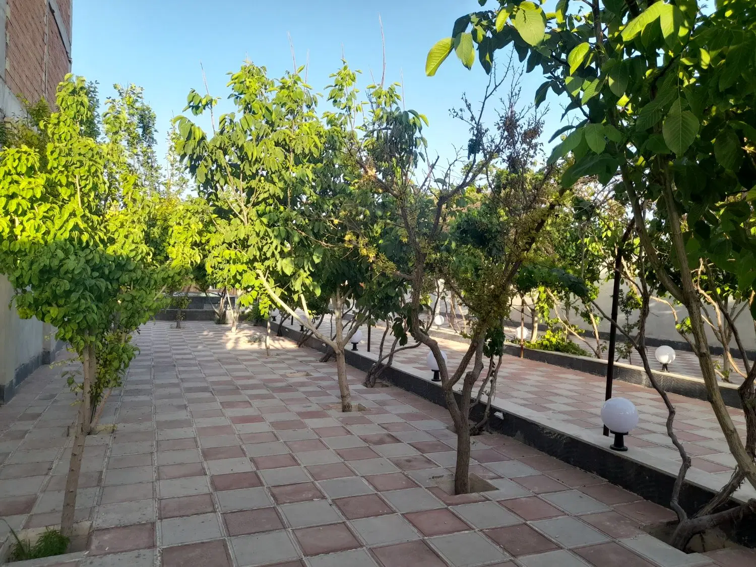 شصد پنجاه متر باغ برای اجاره