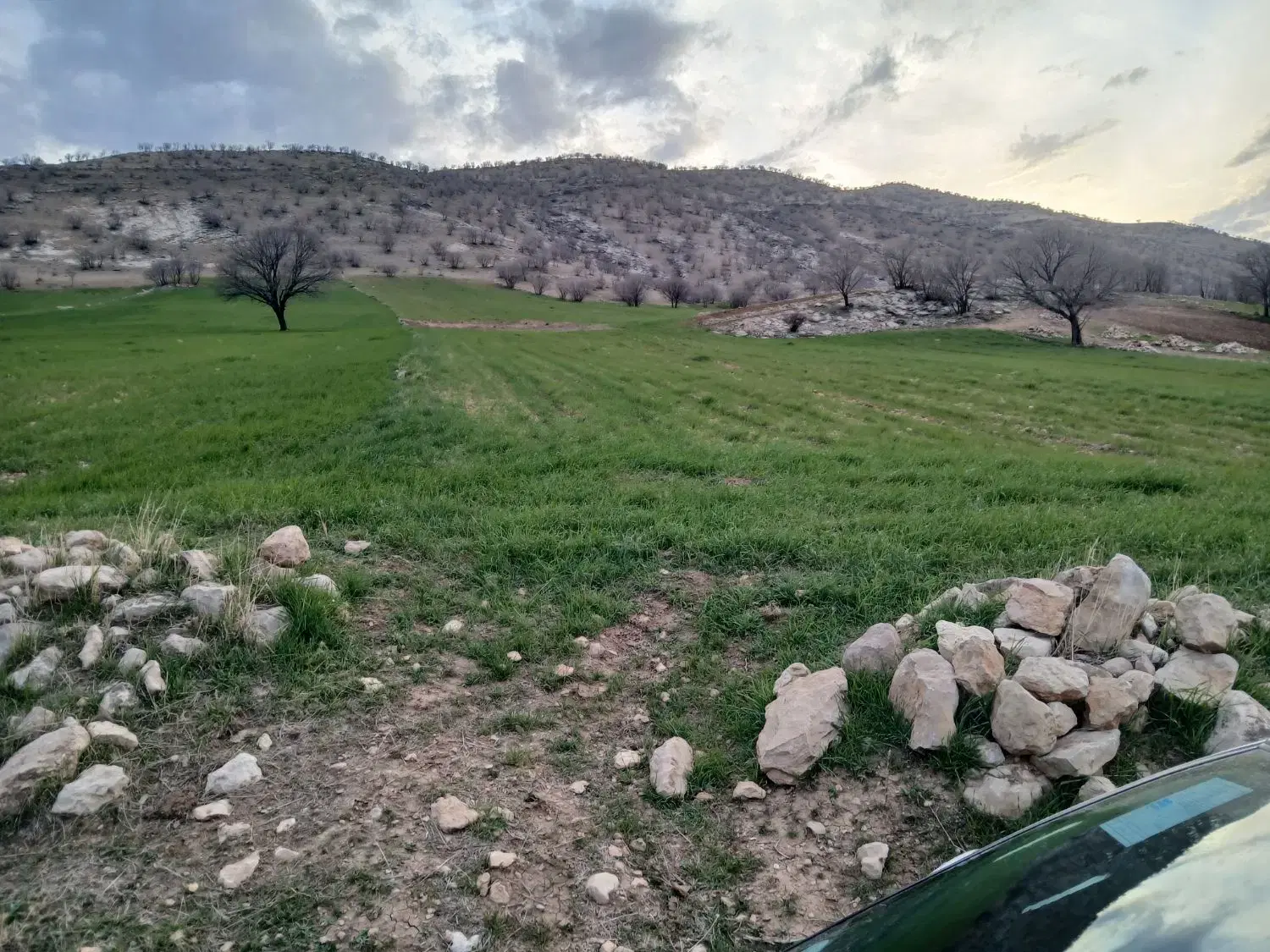 زمین. خونه باغ. ویلا