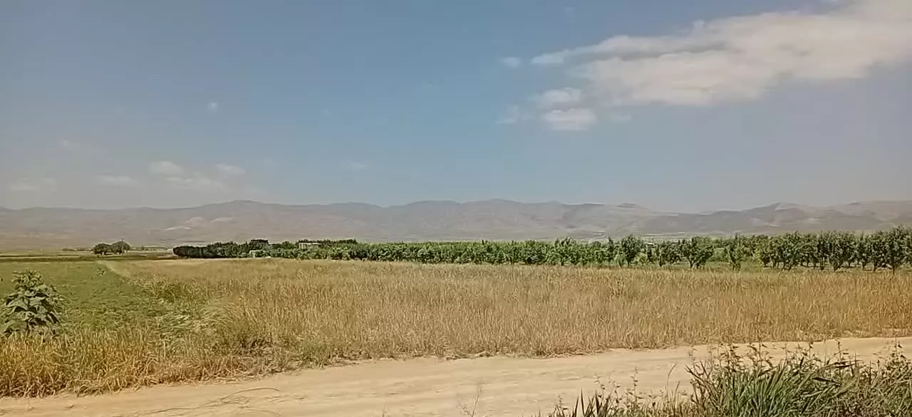 زمین کشاورزی۱۸۰۰مترمخصوص باغ داخل کلاته پهلوان