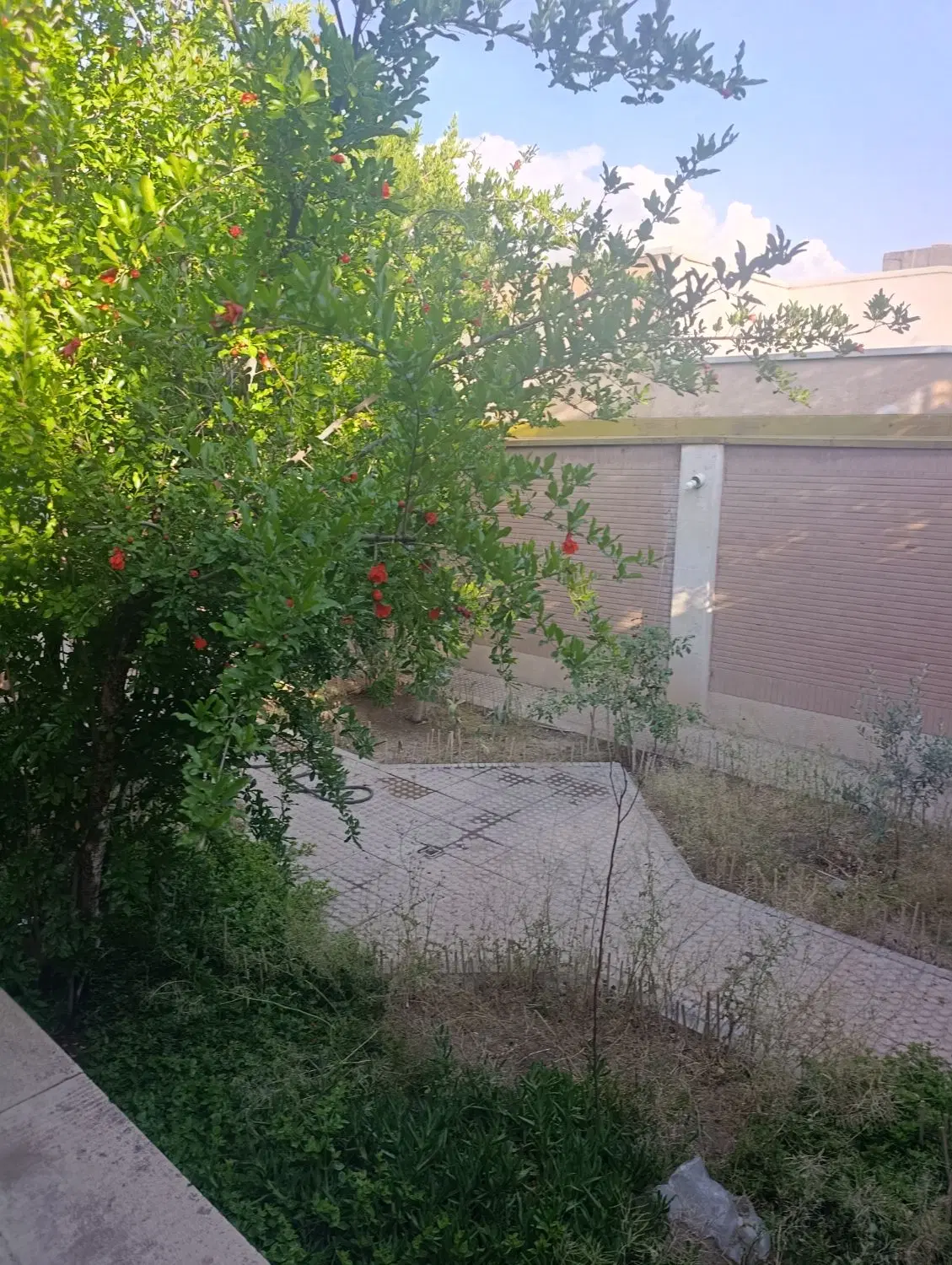 اجاره ویلایی محله مروارید