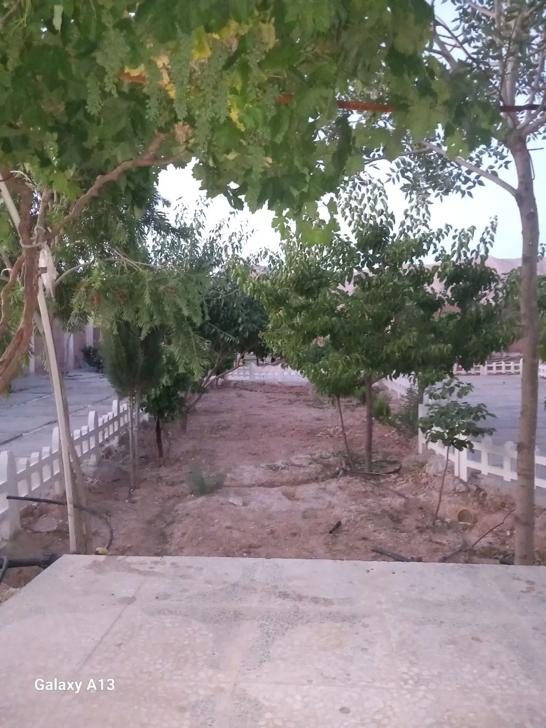 باغ شهری