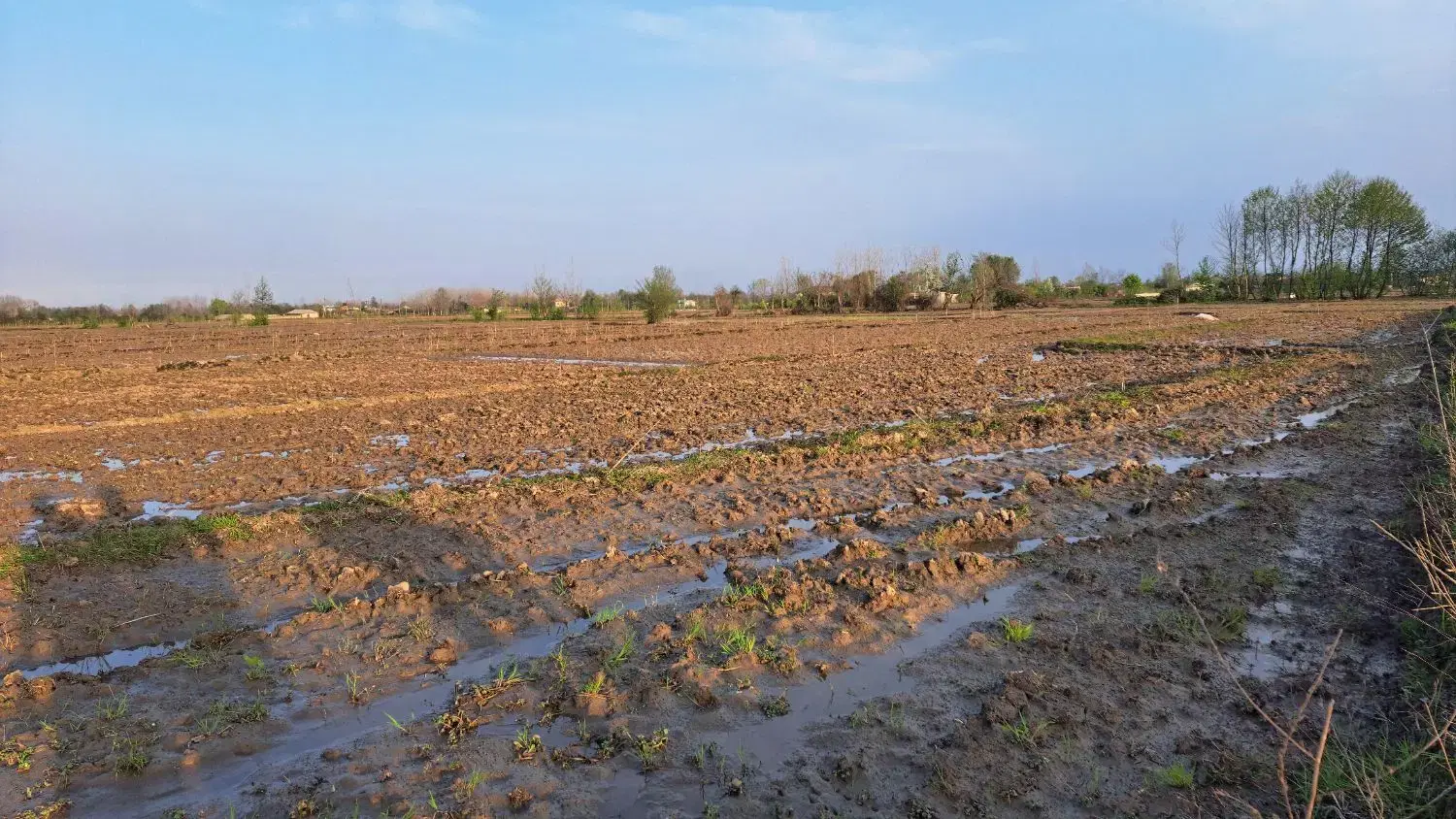 زمین کشاورزی