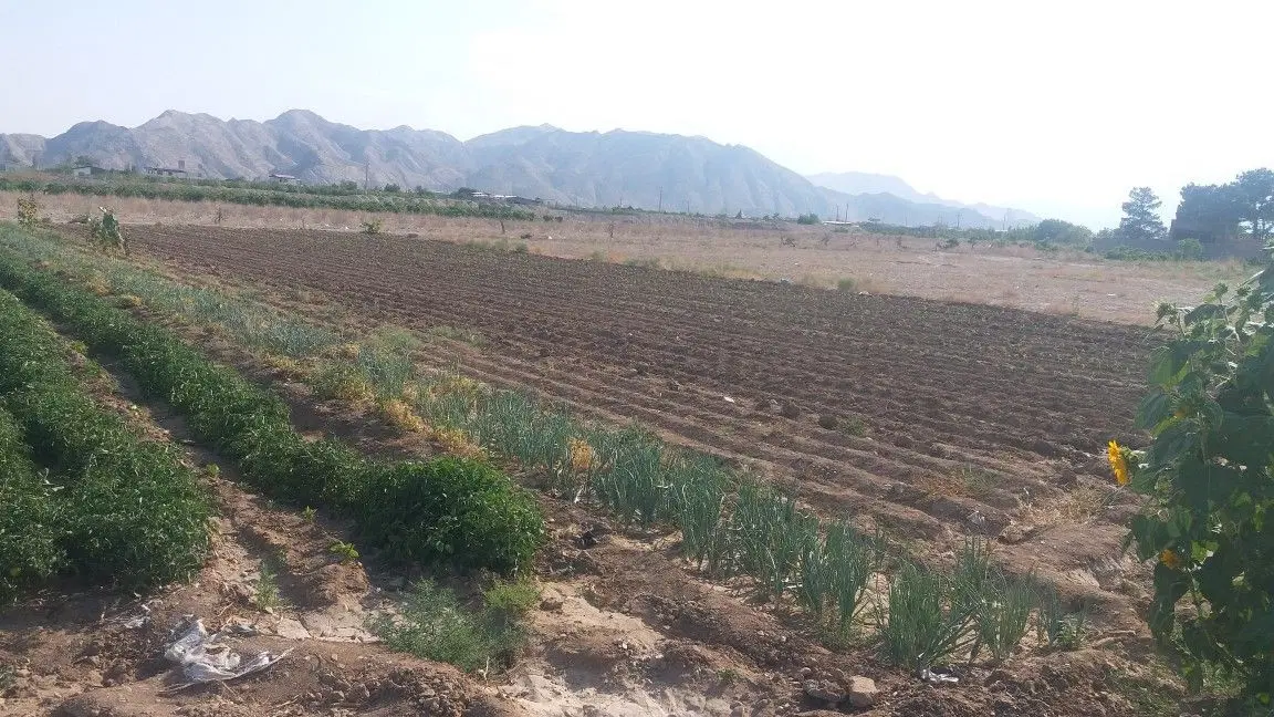 فروش ۱۰۰۰ متر زمین باغی شهرک باران بسطام