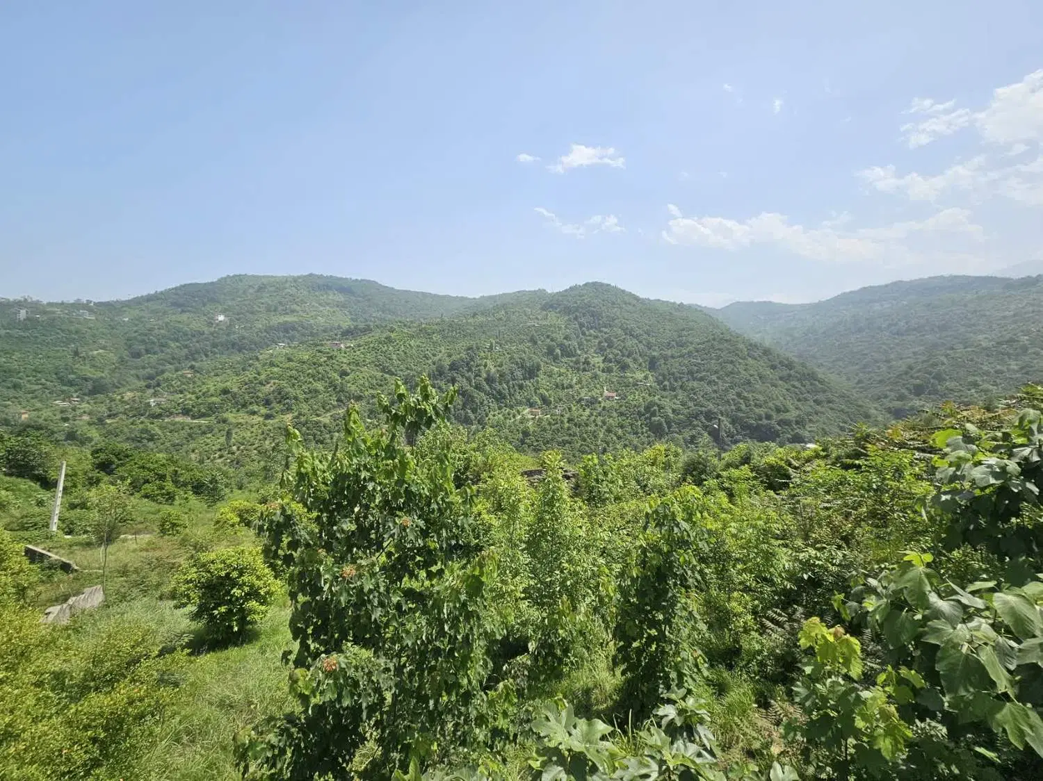 زمین مسکونی پروانه دار با ویوی ابدی جنگل