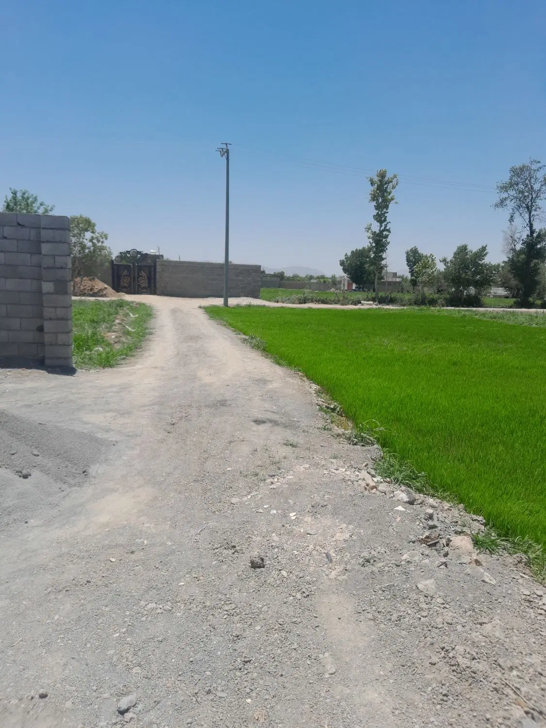 ۲۱۰ متر زمین دیوارکشی باغی