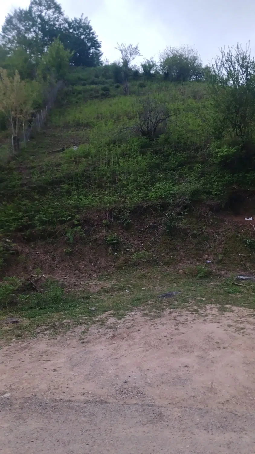 زمین مسکونی