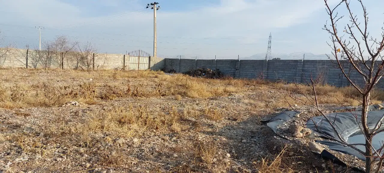 باغ