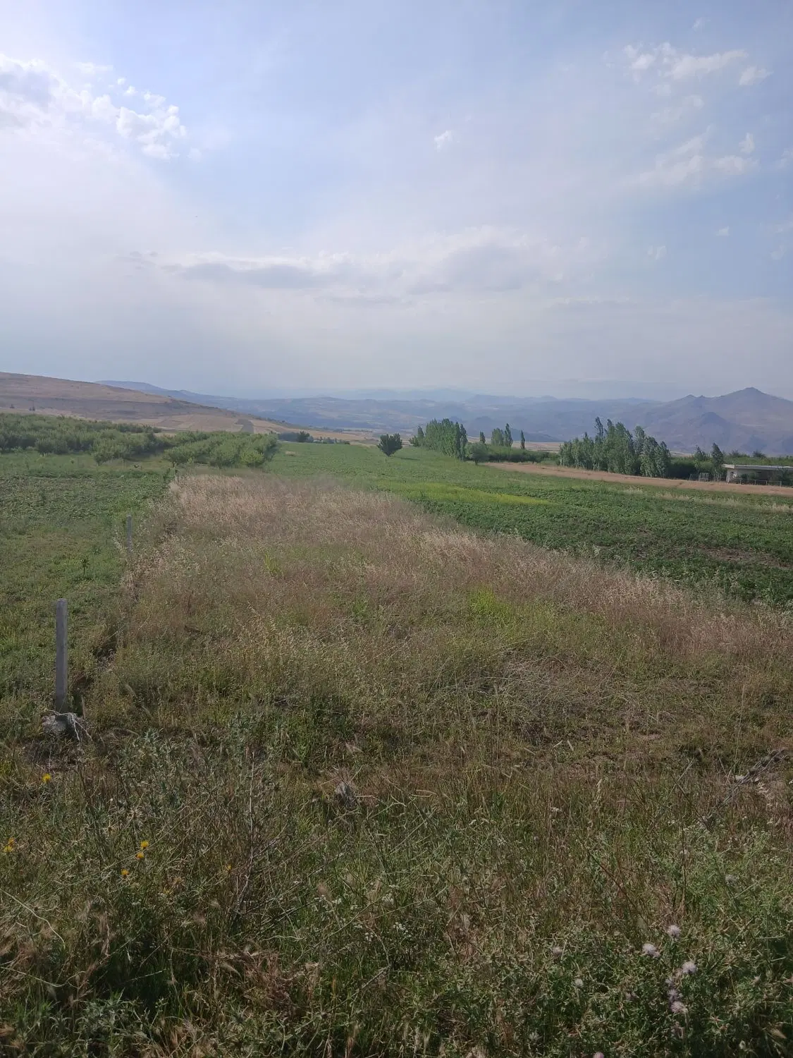 فروش زمین در روستای اق جالو