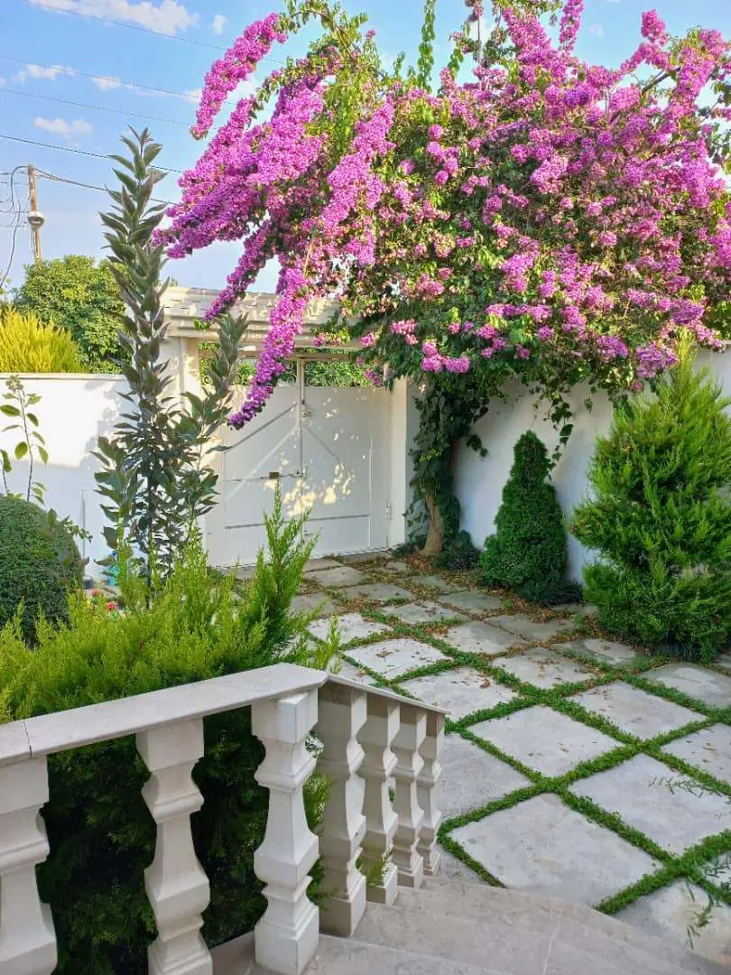 ویلا اجاره ای فلت علی آباد