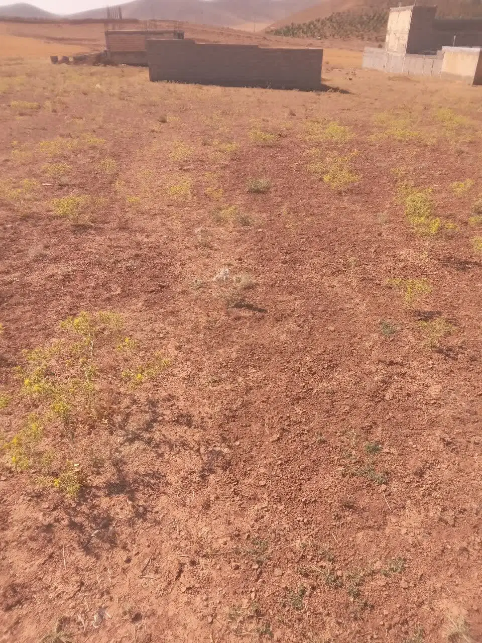 زمین مسکونی در روستای هرچگان