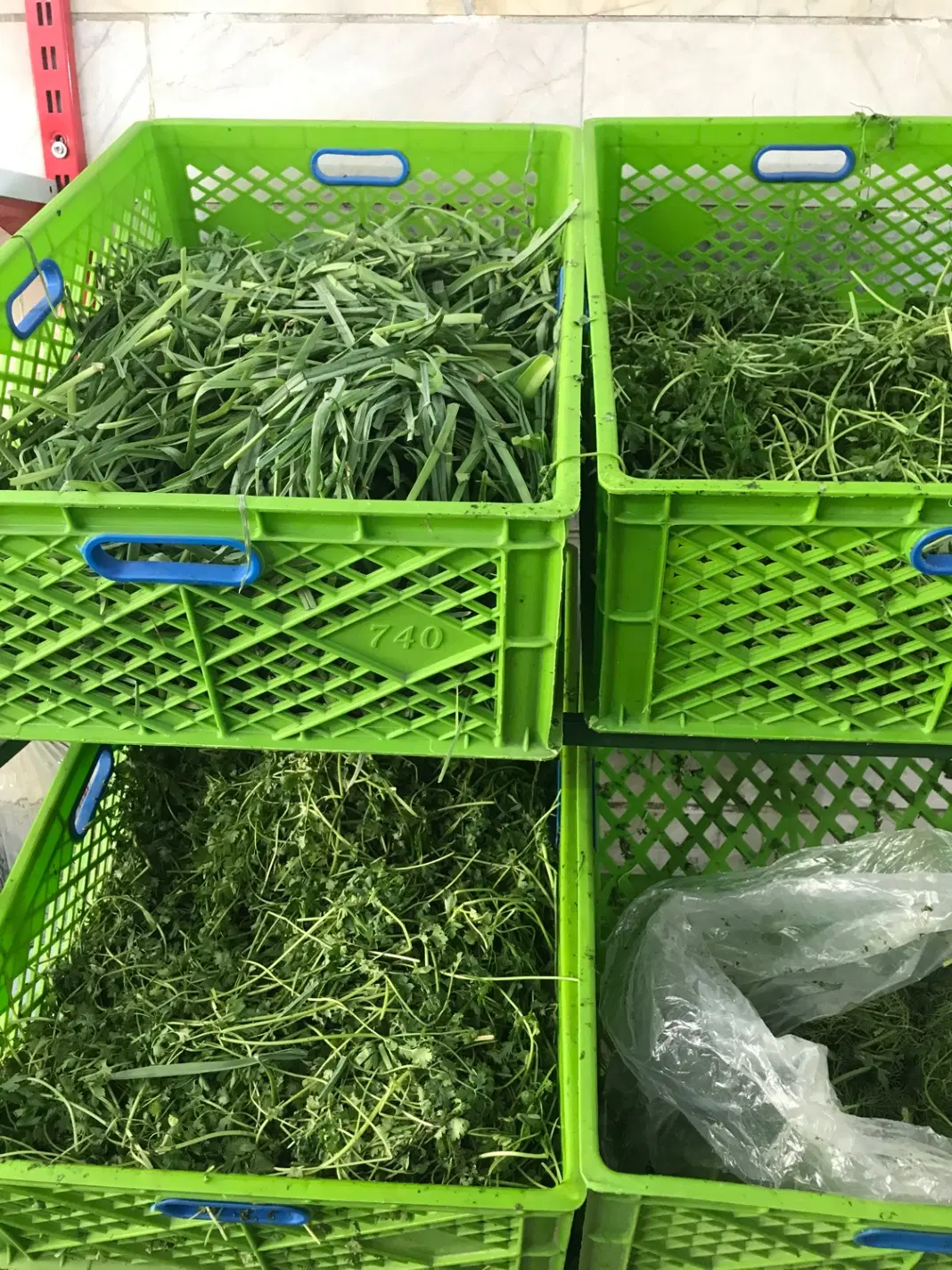 اجاره مغازه سبزیکده