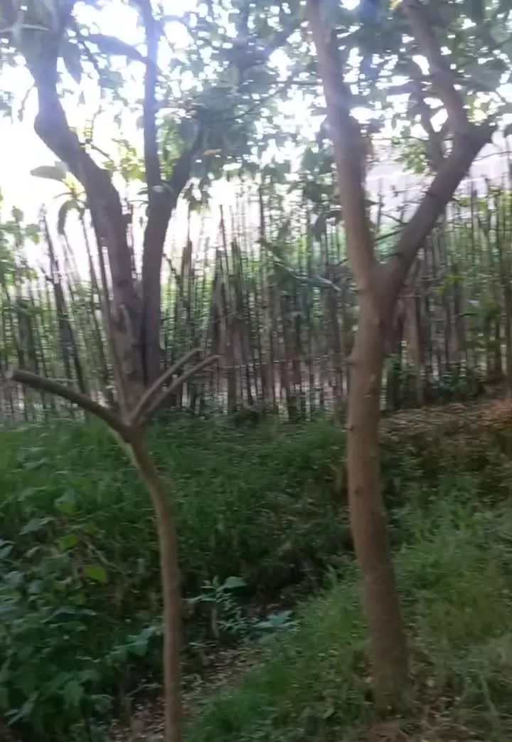 هزارو ده متر زمین مسکونی