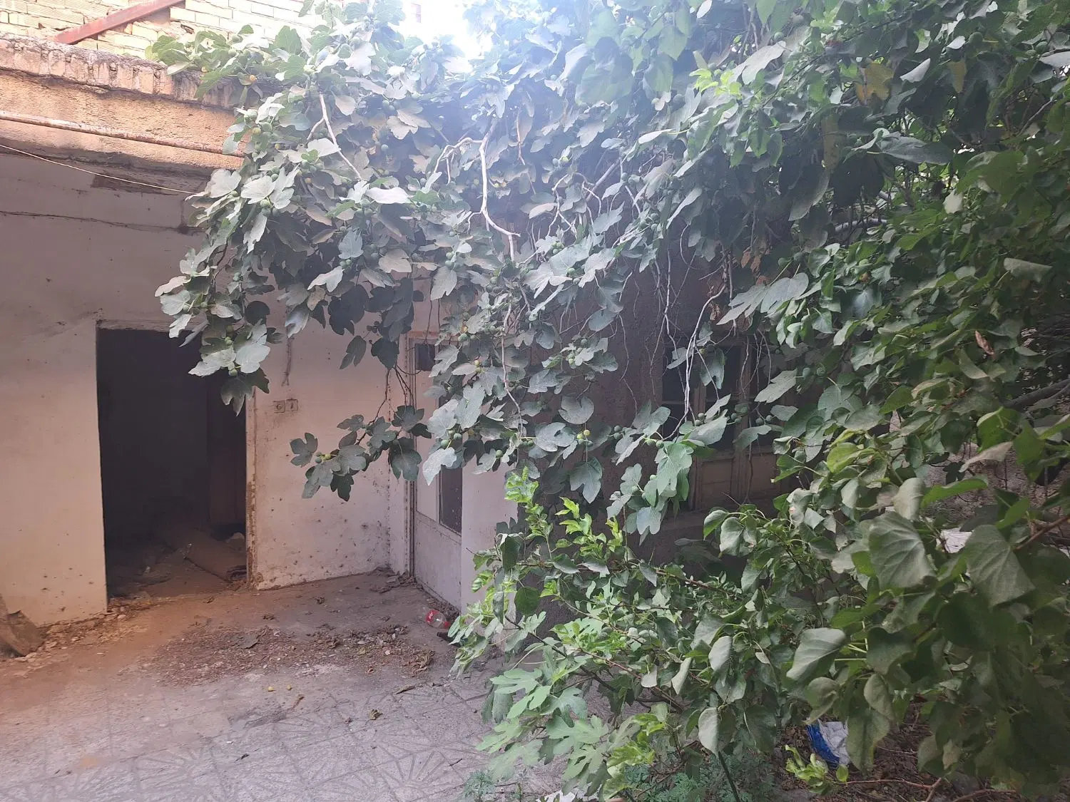 ۱۴۷ متر کلنگی