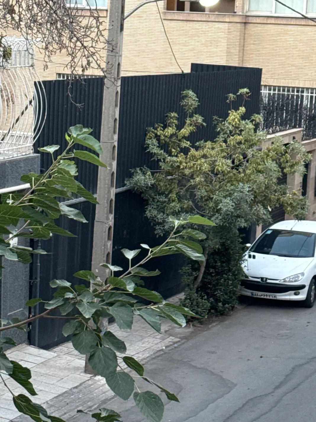 زمین ۲۵۰ متری امام رضا ۱۷