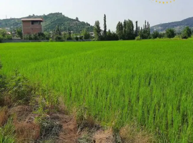 زمین کشاورزی با چاه عمیق