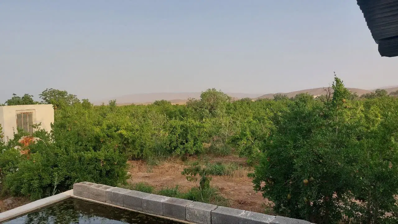باغ انار