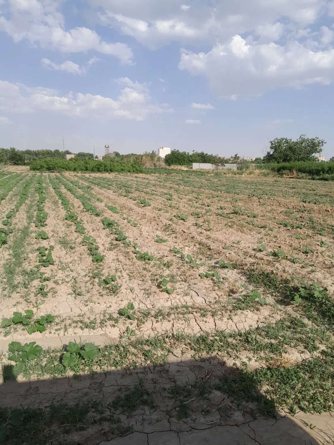 خاهان اجاره زمین