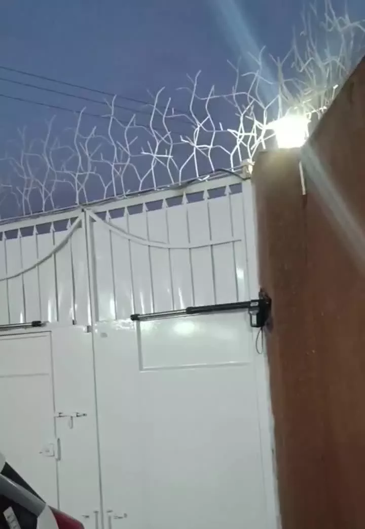 فروش باغ330متر جلال آباد