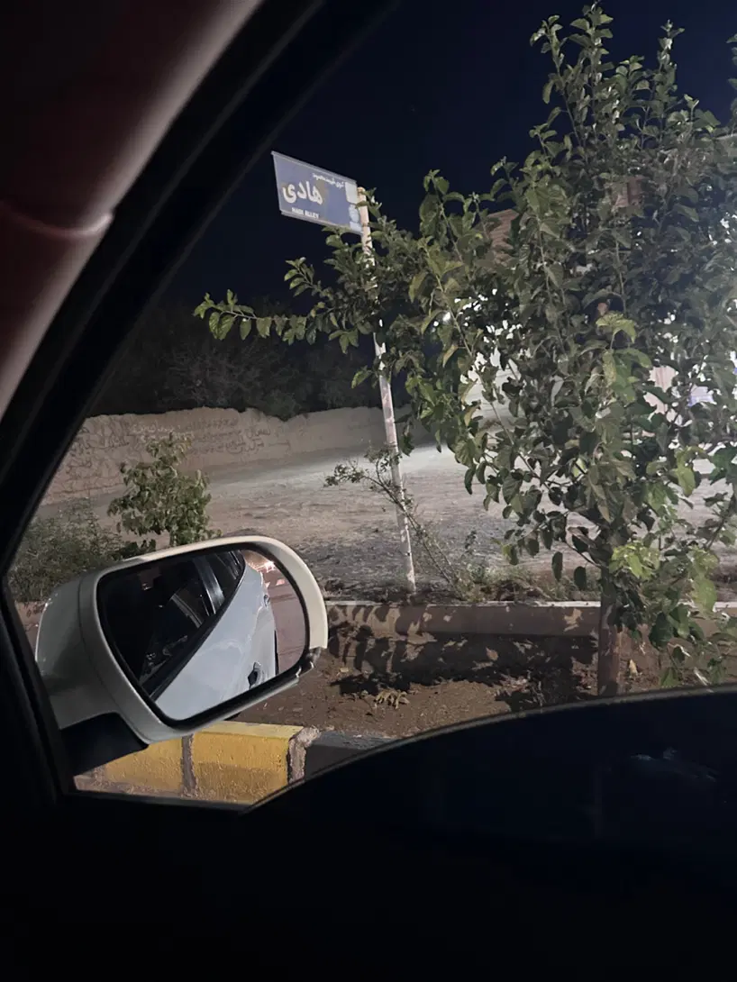 جا خونه بلوار ولیعصر دو نبش