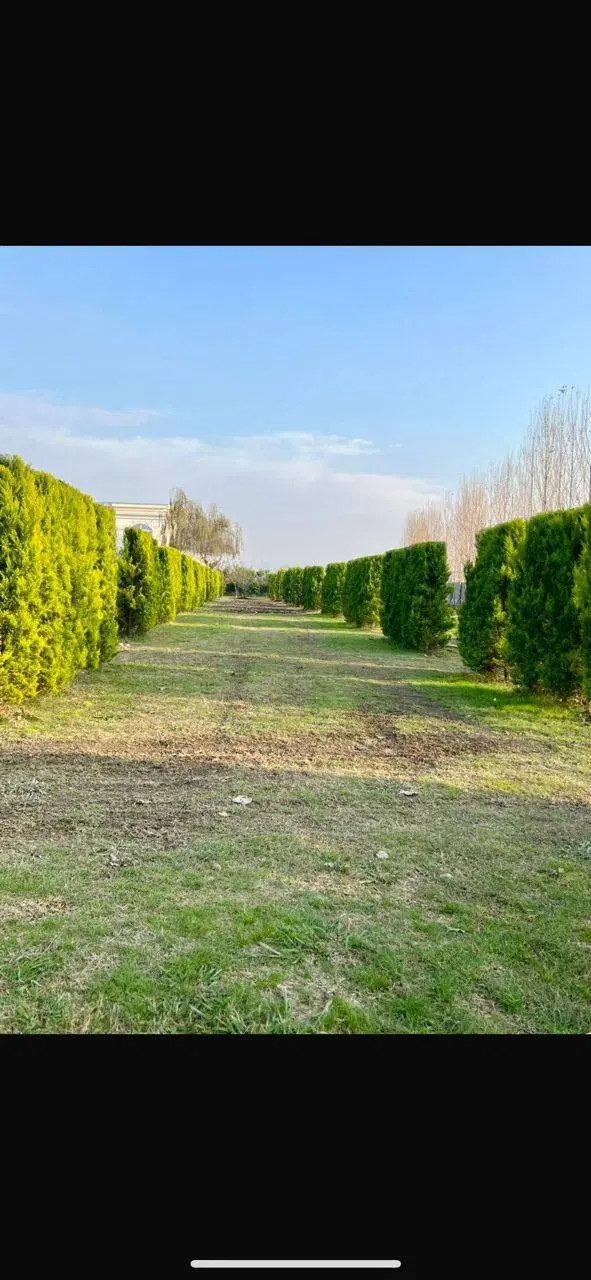 با 3 میلیارد صاحب 1000 متر زمین جاده فوشنجان شوید