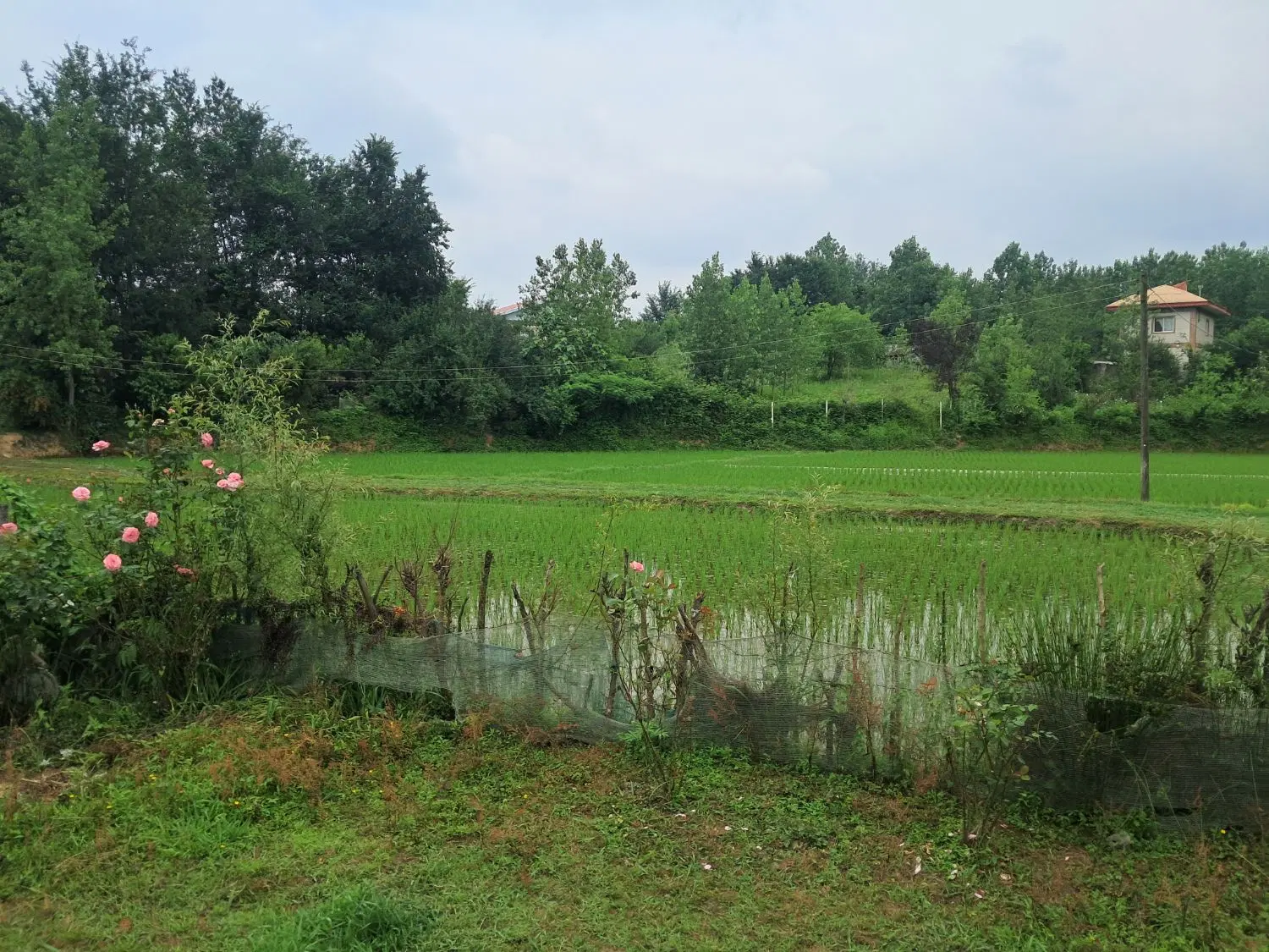 فروش زمین