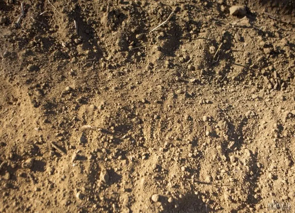 زمین در صادقیه