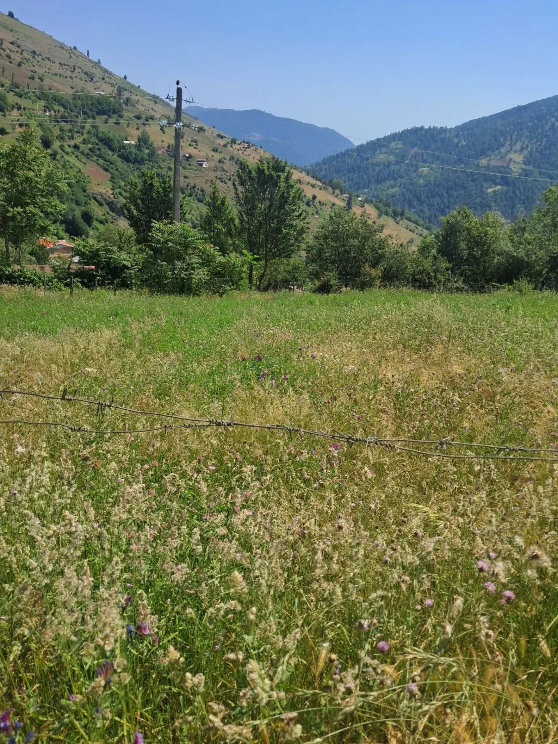 زمین فروشی در ییلاق لر