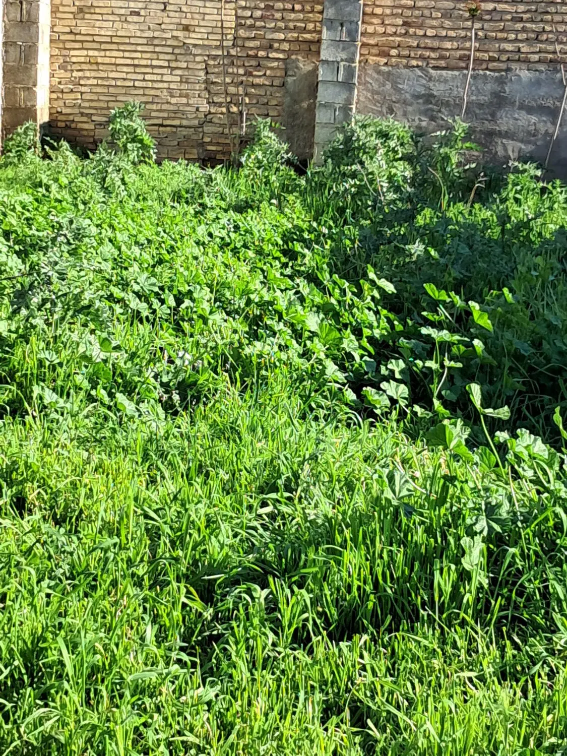 فروش زمین