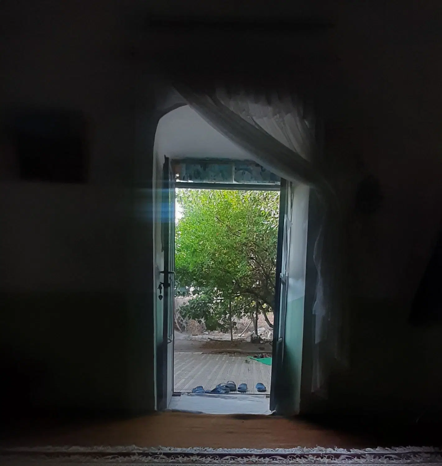 باغ راین