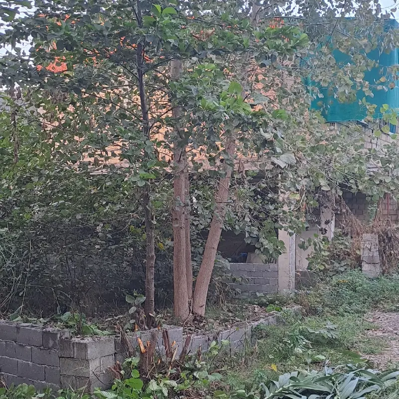 زمین۱۰۰متری دارای مجوز ساخت