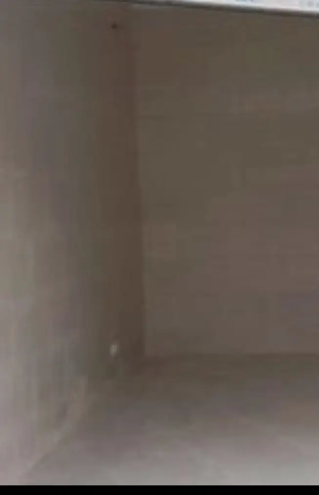 اجازه مغازه