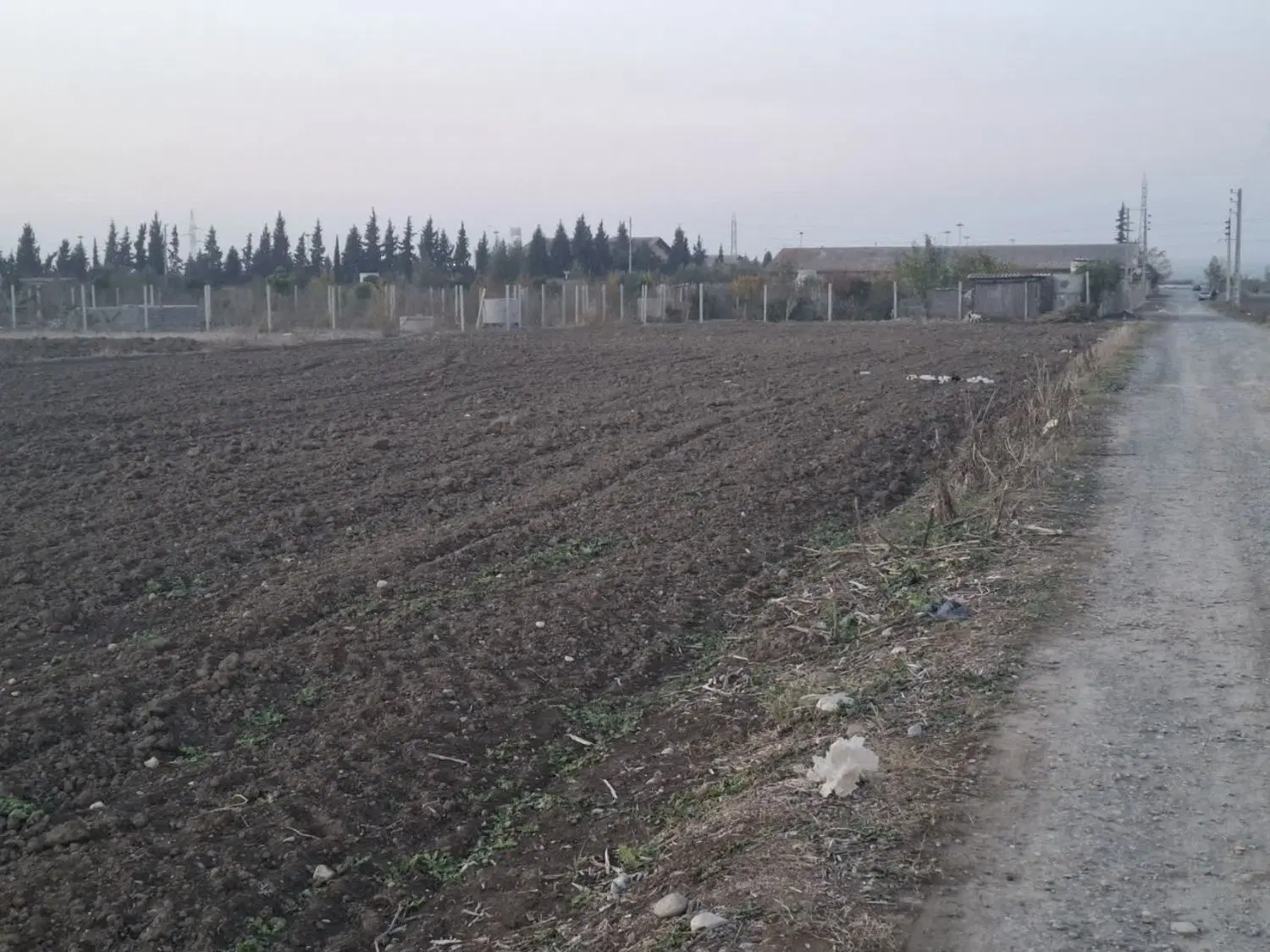 زمین کشاورزی