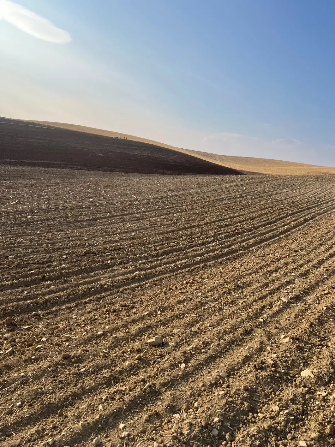 زمین کشاورزی اجاره روستای بریاخان