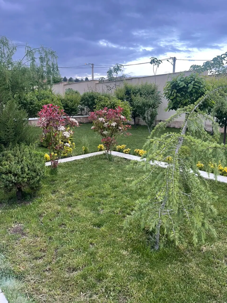 کوهسار خیابان طباطبایی  باغ قدیمی