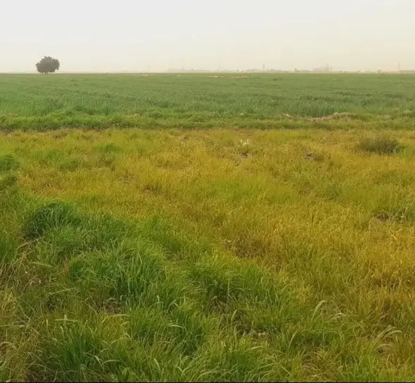 ۲۳۰۰ متر زمین باقیمت مناسب