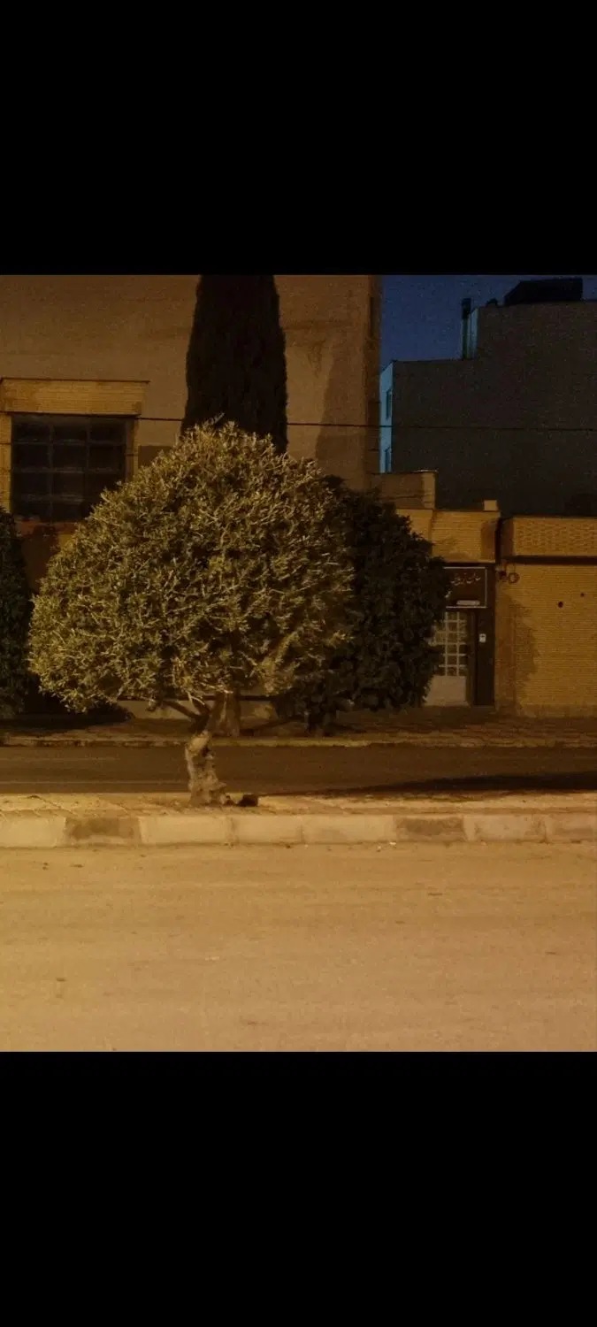 اجاره مغازه ازادگان بلوار شهاب ۲۴ متری