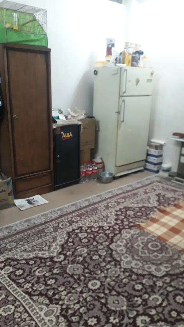 به یک همخونه نیاز دارم