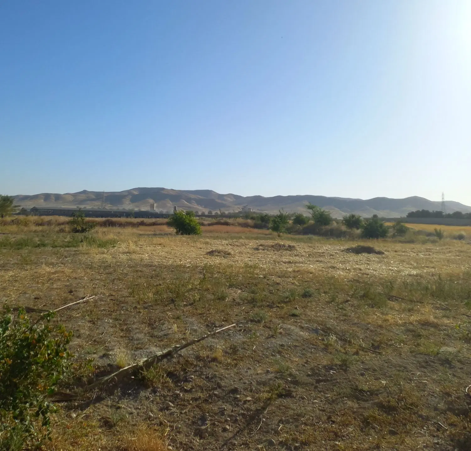 فروش زمین در محمدآباد