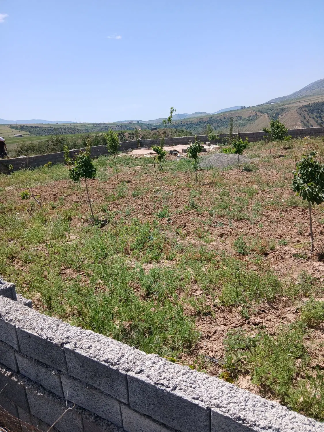 زمین در هشت کیلومتری کمربندی کیاسر 160 ملیون