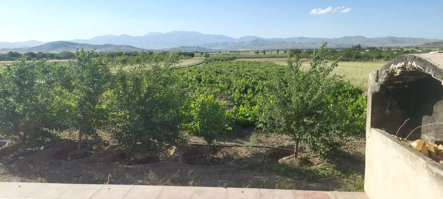 باغ افسریه جوکار(گلشیر)