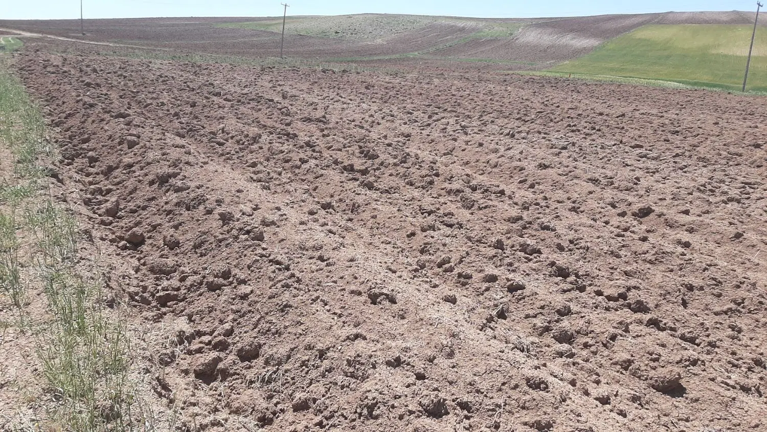 فروش زمین کشاورزی