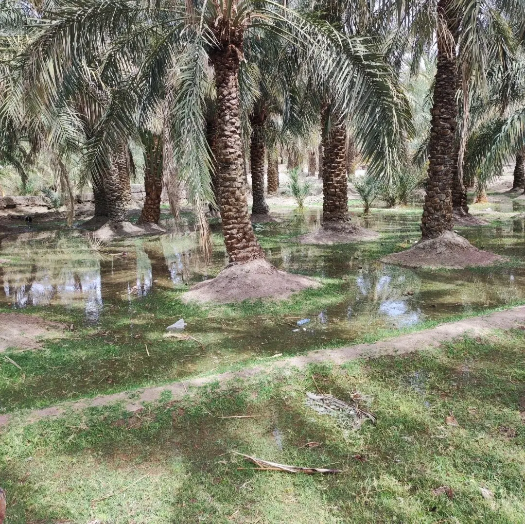 فروش باغ