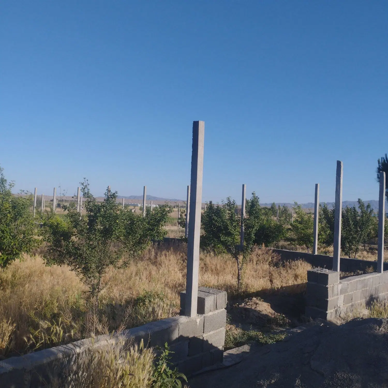 باغچه شهرکی در دولت آباد روستای سرسبز کریم آباد