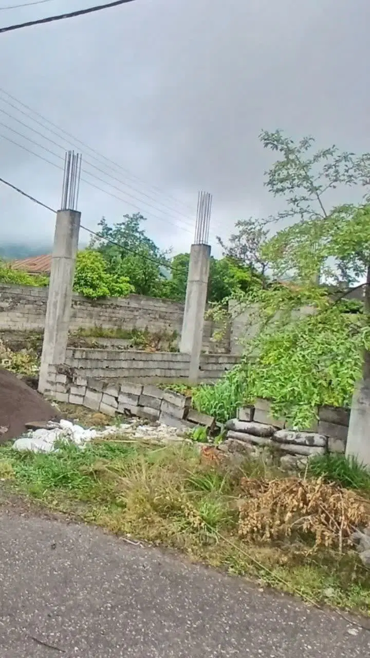 زمین واقع در لیلا کوه لنگرود