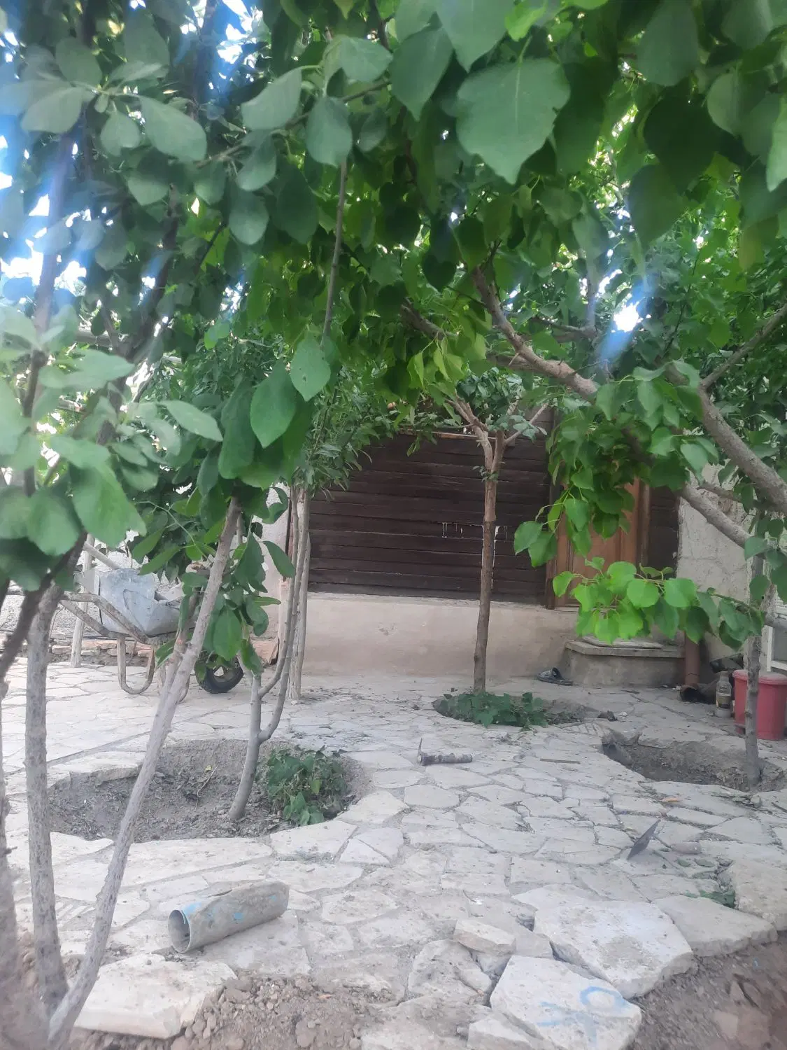 فروش باغ